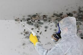 Mold Remediation for Rental Properties in Hackettstown, NJ